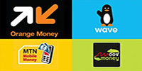 logo de paiement par mobile money